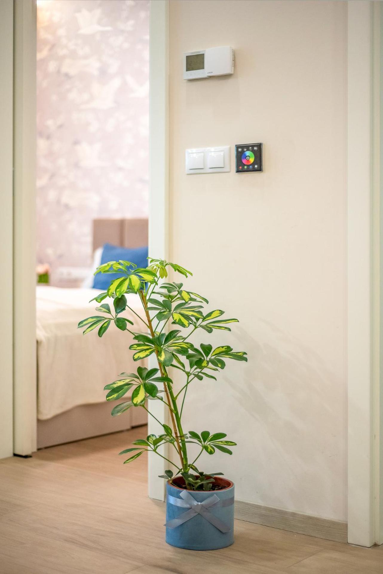 Lavida Deluxe Villa Hajdúszoboszló 외부 사진
